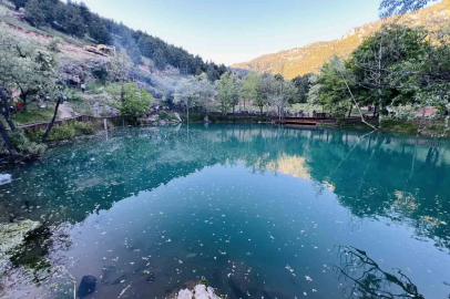 Kahramanmaraş’ta "Yeşilgöz" göz kamaştırıyor
