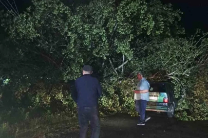 Bartın’da şiddetli fırtına: ağaçlar Otomobillerin üzerine devrildi
