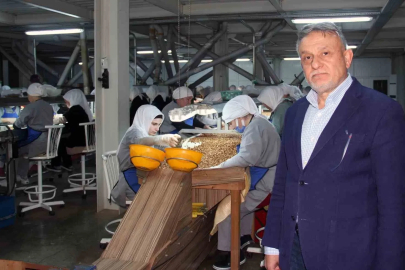 Fındık fiyatlarındaki düşüş sürüyor: Gözler yeni sezonda
