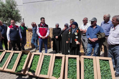 Tekirdağ’da 407 üreticiye 256 bin yazlık sebze fidesi dağıtıldı
