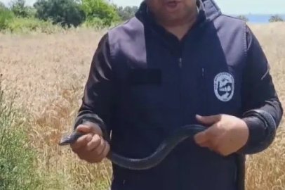 Hatay’da yaşlı kadının evine giren yılanı yakalayan Yılancı Kemal ‘Sevgili karayılan insanlardan uzak dur’ sözleriyle doğaya saldı
