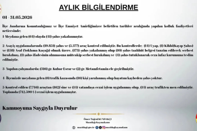 Mazıdağı’nda mayıs ayında 173 şahıs yakalandı
