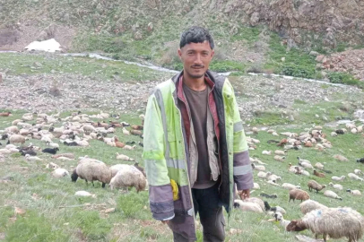 Ağrı’da kaçan cinayet zanlısı jandarma kontrol noktasında yakalandı
