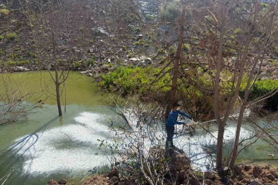 Adıyaman’da sivrisinek ve haşerelere karşı ilaçlama çalışması
