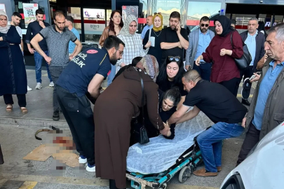 Köpeğin saldırdığı kadın yaralandı

