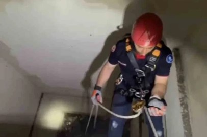 Apartman boşluğuna düşen yavru martı ekiplerce kurtarıldı
