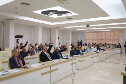 Başkan Subaşı, 100 adede kadar sıfır veya ikinci el toplu taşıma aracı alma yetkisi aldı
