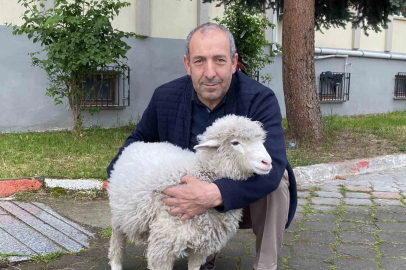 Kavak Adliyesi’nin sevimli maskotu: Kuzu Tertip
