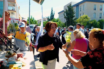 Didim Belediyesi’nden ücretsiz fide dağıtımı
