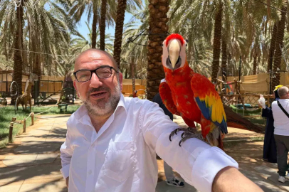 Medine’de papağanlar hacı ve umrecilerin ilgi odağı oldu

