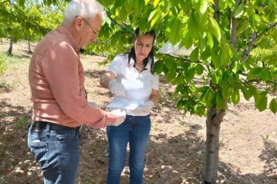 Elazığ’da meyve bahçelerinde takip çalışması
