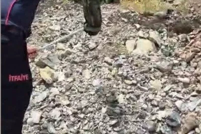 Yatak ve halıların arasına saklanan yılanı itfaiye buldu
