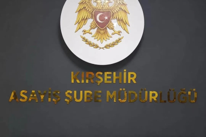 Kırşehir’de denetimlerde silah ve kesici alet ele geçirildi
