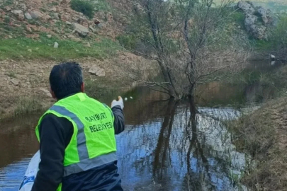 Bayburt’ta larva ilaçlaması ve temizlik çalışmaları sürüyor
