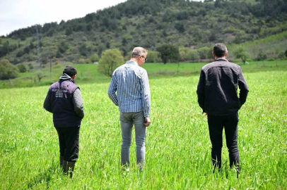 Manisa Büyükşehir’in toprakla buluşan tohumları yeşerdi
