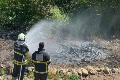 Antakya’da zeytinlik alan yangını
