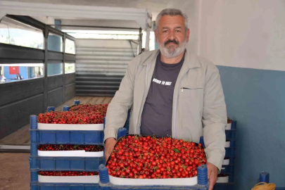 Türkiye’nin en erken kiraz yetişen ikinci ili olan Bilecik’te bu yıl rekolte yüzleri güldürdü
