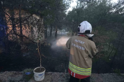 Hassa’da çamlık alan yangını
