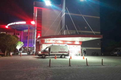 Otomobil yola çıkan köpeğe çarptı: 4 yaralı
