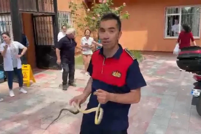 Sağlık ocağında yılan paniği
