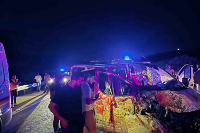 Bingöl’de panelvan yola çıkan ata çarptı: 1 ölü, 2 yaralı
