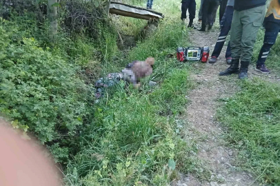 Eşekten düşen yaşlı adam hayatını kaybetti
