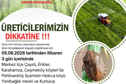 Kırklareli’nde süne zararlısına karşı ilaçlı mücadele kararı
