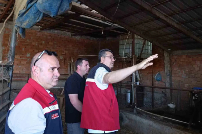 Tekirdağ’da hayvancılık faaliyetleri yerinde incelendi
