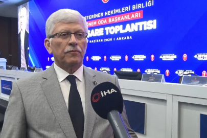 TVHB Başkanı Eroğlu: "Veteriner İşleri Genel Müdürlüğü’nün kurulması ötelenirse kaybeden maalesef insanımızın sağlığı ve ülkemiz olacaktır"
