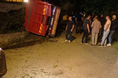 Giresun’da yaş çay yüklü kamyon devrildi
