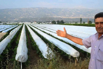 Sarıgöl Ovası beyaza bürünmeye hazırlanıyor
