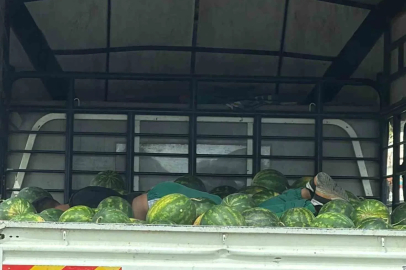 Karpuzlar arasında uyku gülümsetti
