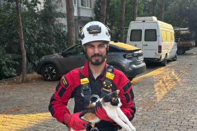 Üç gündür ağaçta mahsur kalan kedi kurtarıldı
