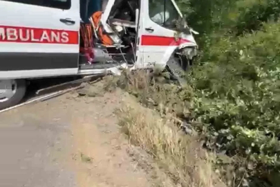 Hasta taşıyan ambulans yoldan çıkarak yeşillik alana savruldu
