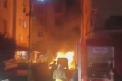 Park halindeki minibüs alevlere teslim oldu
