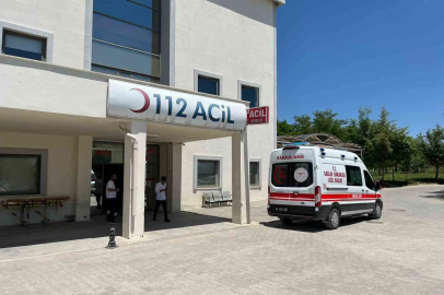 Besni’de otomobil şarampole yuvarlandı: 2 yaralı
