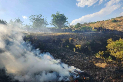 Siirt’te otluk alanda çıkan yangın fıstık ve üzüm bağlarına sıçradı
