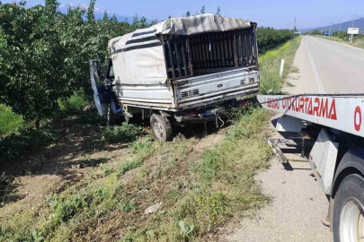 Yalvaç yolunda hayvan nakil kamyoneti kayısı bahçesine daldı: 1 yaralı

