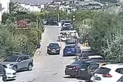 Bodrum’daki köpek davasında sanık beraat etti
