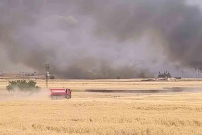 Harran’da yüzlerce dönümlük ekili arazi yandı
