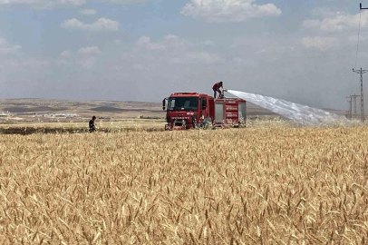 Mardin’de yaklaşık 300 dönüm ekili alan alevlere teslim oldu
