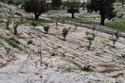 Mersin Erdemli’de dolu tarım alanlarına zarar verdi
