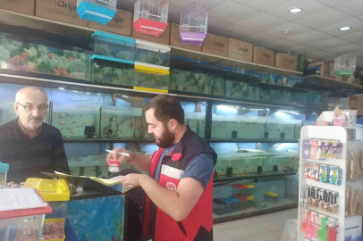 Kütahya’da ev hayvanı satış yerlerinde denetim
