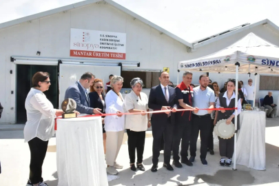 Sinop’ta istiridye mantarı ve dikey tarım tesisi açıldı
