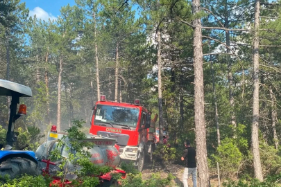 Kütahya’da yıldırım orman yangınına neden oldu
