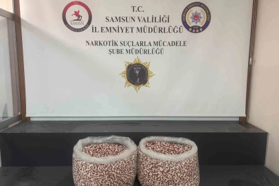 Tırın yatak bölümünde 129 bin 500 uyuşturucu hap ele geçti
