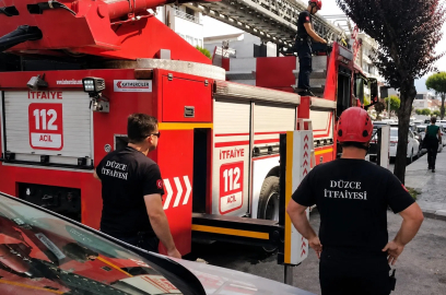 Sahibinin omzunda gezerken korkup kaçan papağanın imdadına itfaiye yetişti
