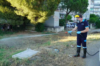 Balıkesir’de vektörle mücadelede tam zamanlı mesai
