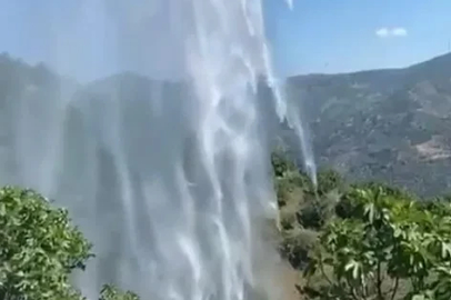 Yemek ısıtmak için yaktığı ateş incir bahçesini kül etti
