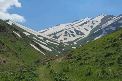 Haziran ayında karda kayıp kartopu oynadılar
